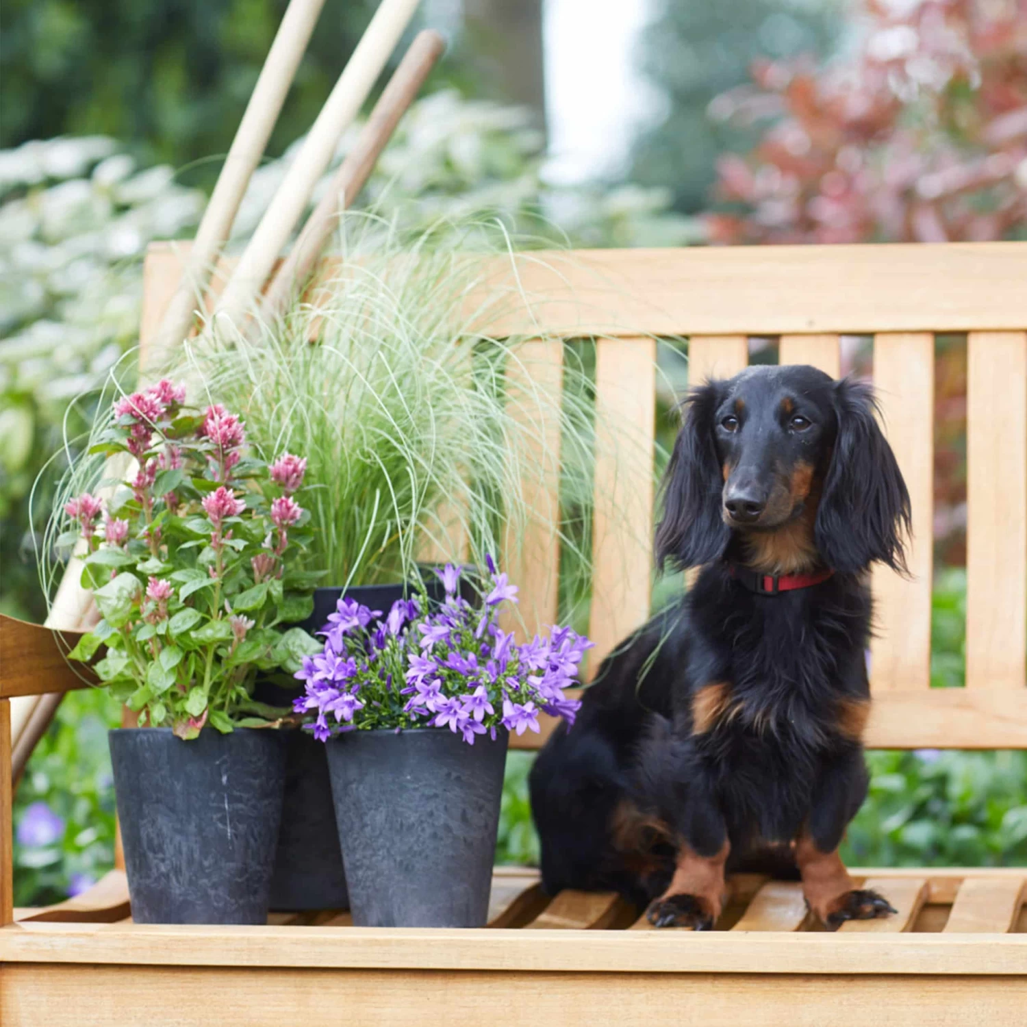 Blumentopf Claire D13 Cm Schwarz – Bild 4