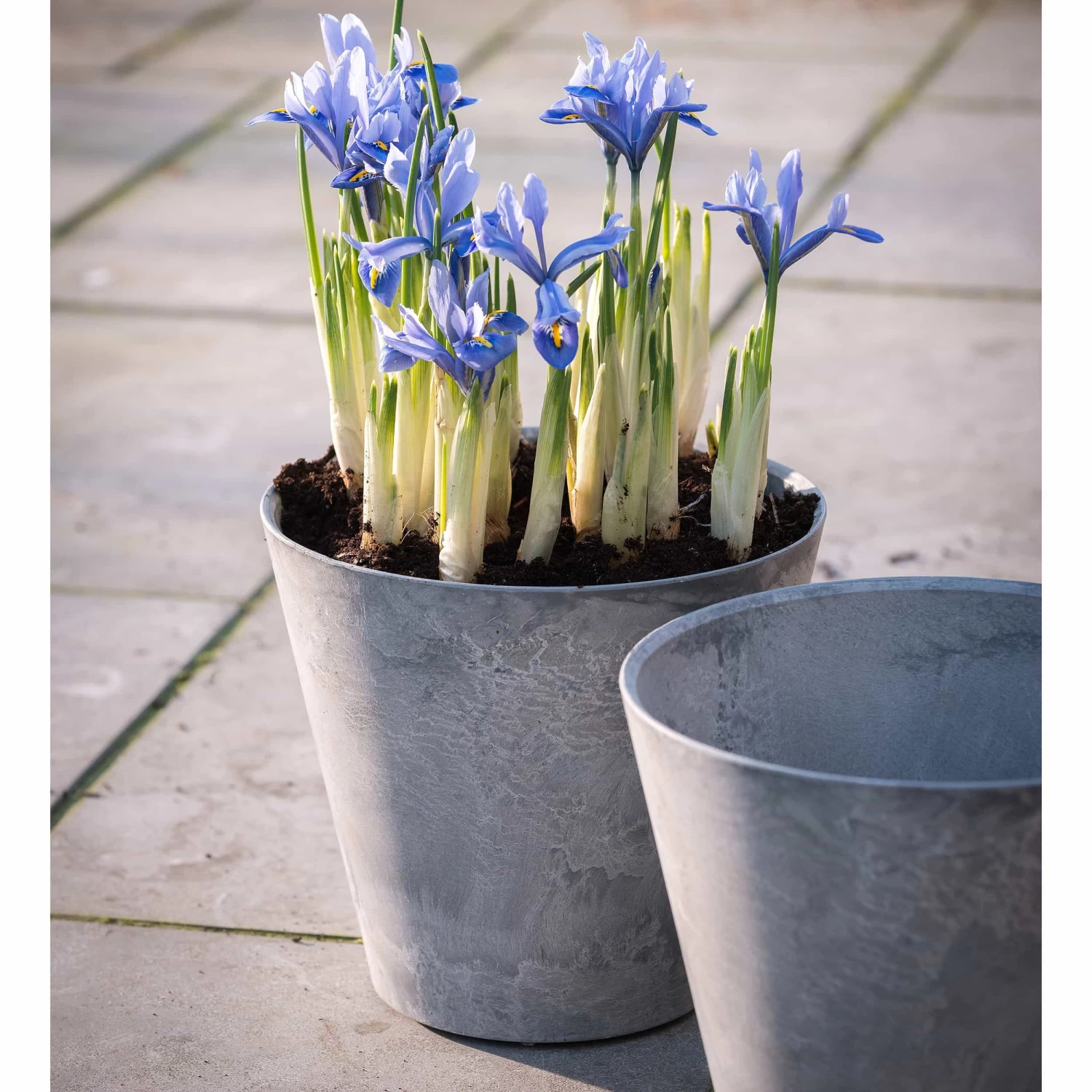 Blumentopf Claire D17cm Grau – Bild 2