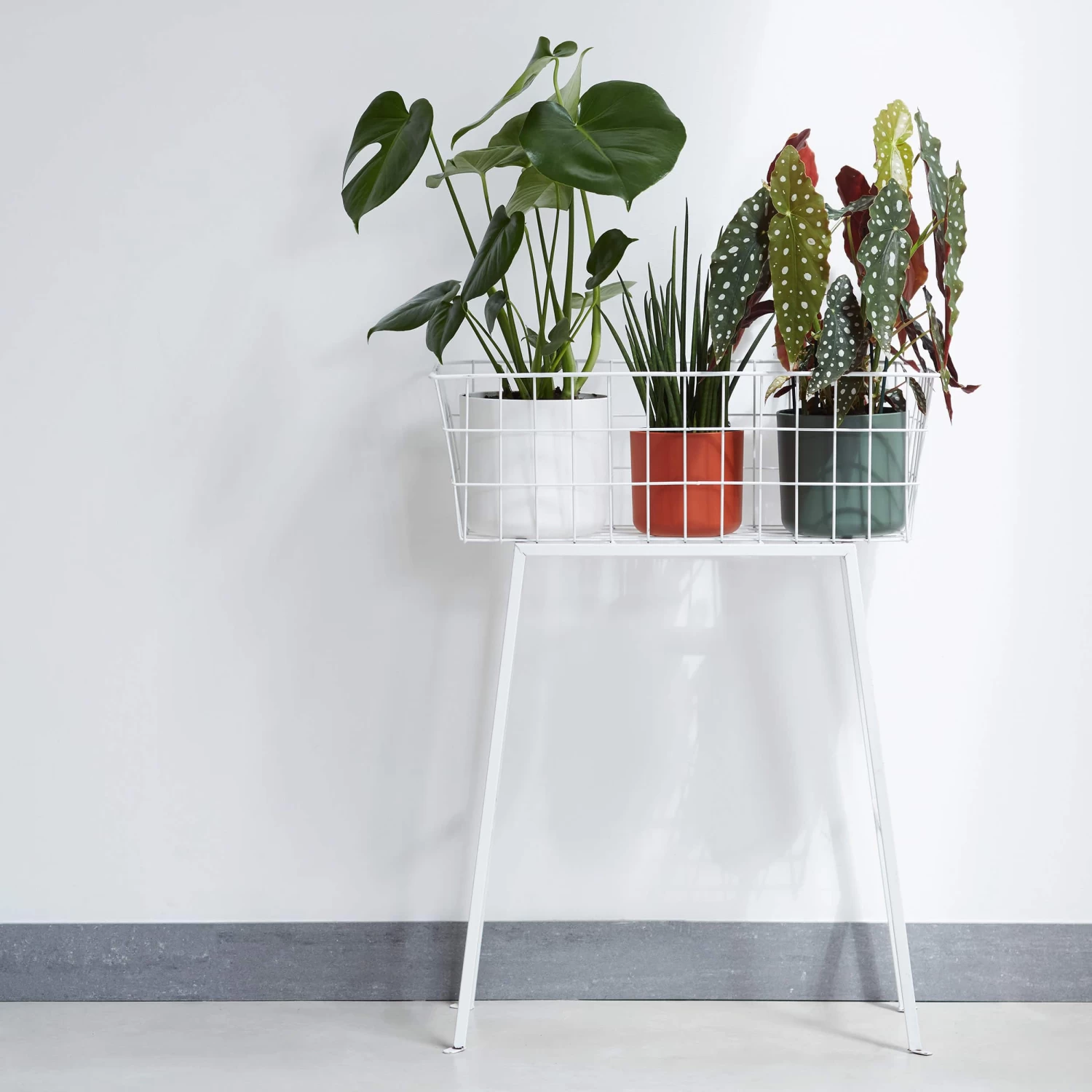 Elho Blumentopf B. For Soft Rund D18 Cm Laubgrün – Bild 2