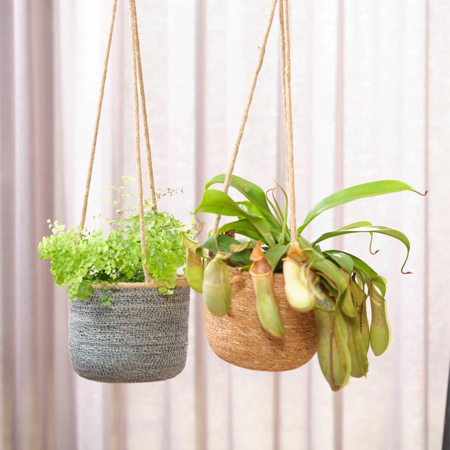 Hänge-Blumentopf Igmar D17 Cm Grau Auslaufmodell – Bild 3