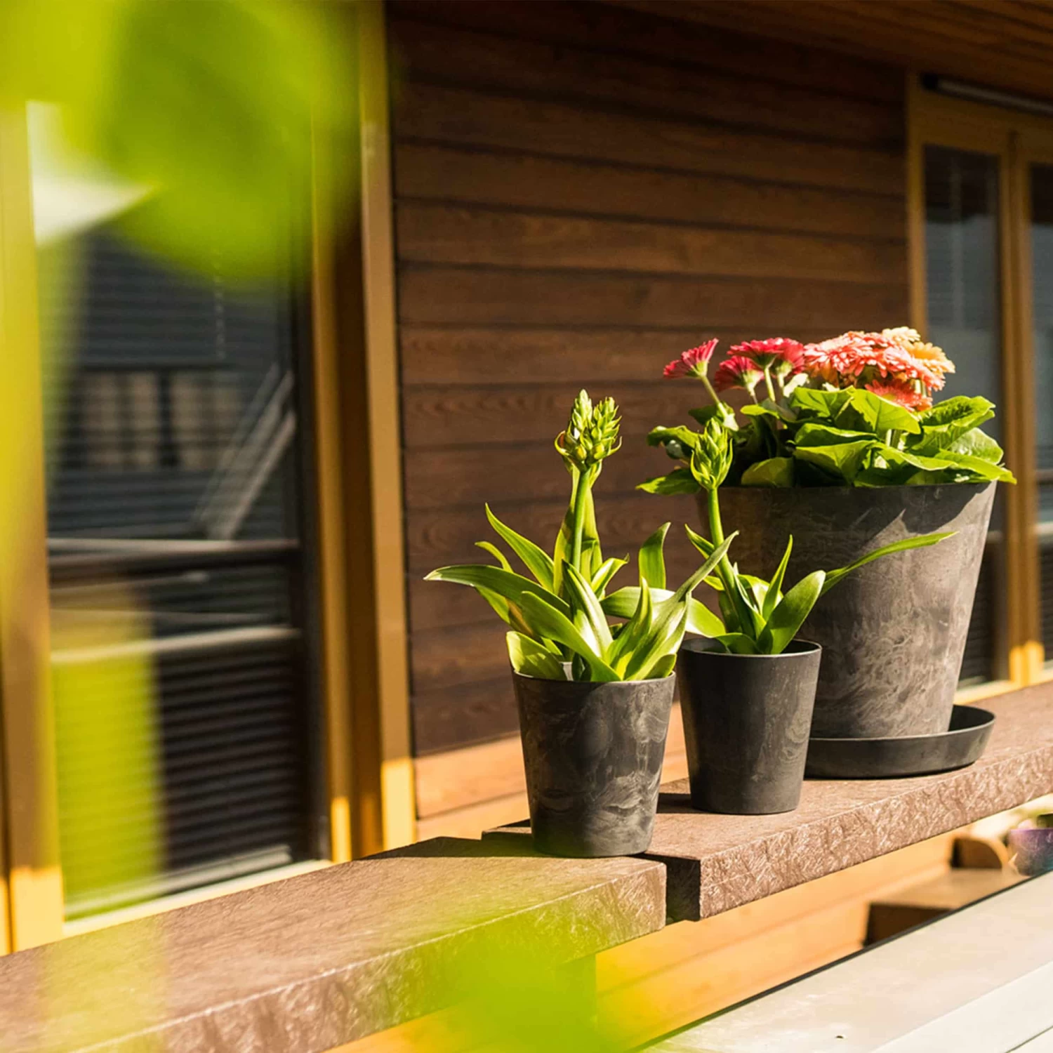 Blumentopf Claire D13 Cm Schwarz – Bild 2