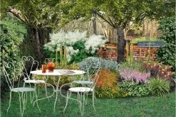 Robuste Alleskönner (Problemlösung Für Den Trockenen Schatten)