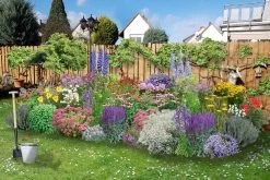 Ländlicher Zauber (Der Charme Alter Bauerngärten)