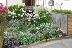 Edler Empfang (Idee Für Den Vorgarten)