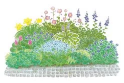 Licht Und Schatten (Schönes Für Dunkle Gartenecken)