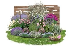 Nasenschmeichler (Herrlicher Duft Und Ausdauernde Blüten)