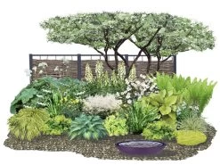 Crème Fraîche (Schönes Für Den Schatten)