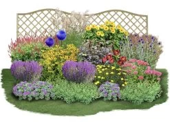 Alles Easy - Das Anfängerbeet (Gartenneulinge Aufgepasst!)