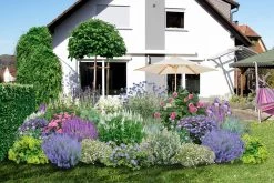 Traumhaftes Terrassenbeet (Doppelte Freude Durch Zwei Ansichtsseiten)